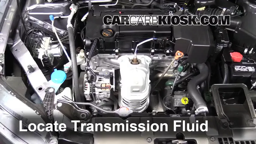 2015 Honda Accord EX-L 2.4L 4 Cyl. Coupe Líquido de transmisión Controlar nivel de líquido